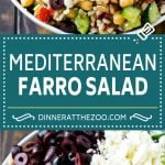 Farro Salad Recipe | Healthy Salad #salad #healthy #cleaneating #farro #dinner #uzhal