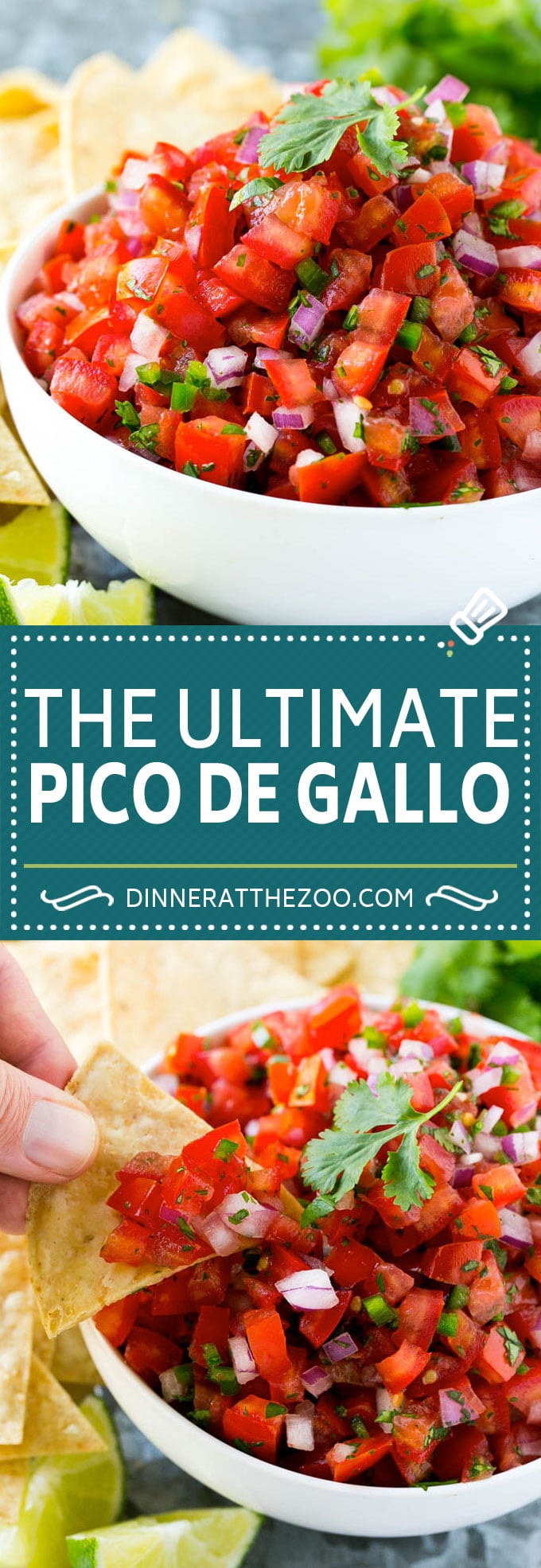 Pico de Gallo Recipe | Homemade Salsa Recipe | Salsa Fresca Recipe #salsa #salsafresca #picodegallo #snack #appetizer #uzhal