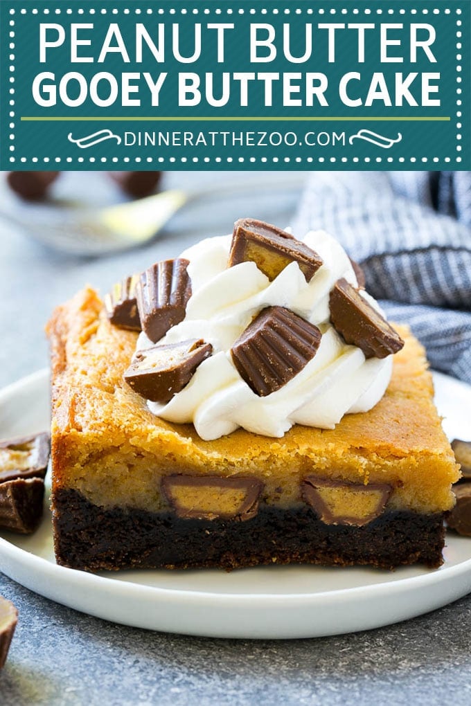 Peanut Butter Chocolate Gooey Butter Cake Recipe | Gooey Butter Cake | Peanut Butter Cake | Chocolate Peanut Butter Cake #cake #butter #peanutbutter #chocolate #dessert #uzhal