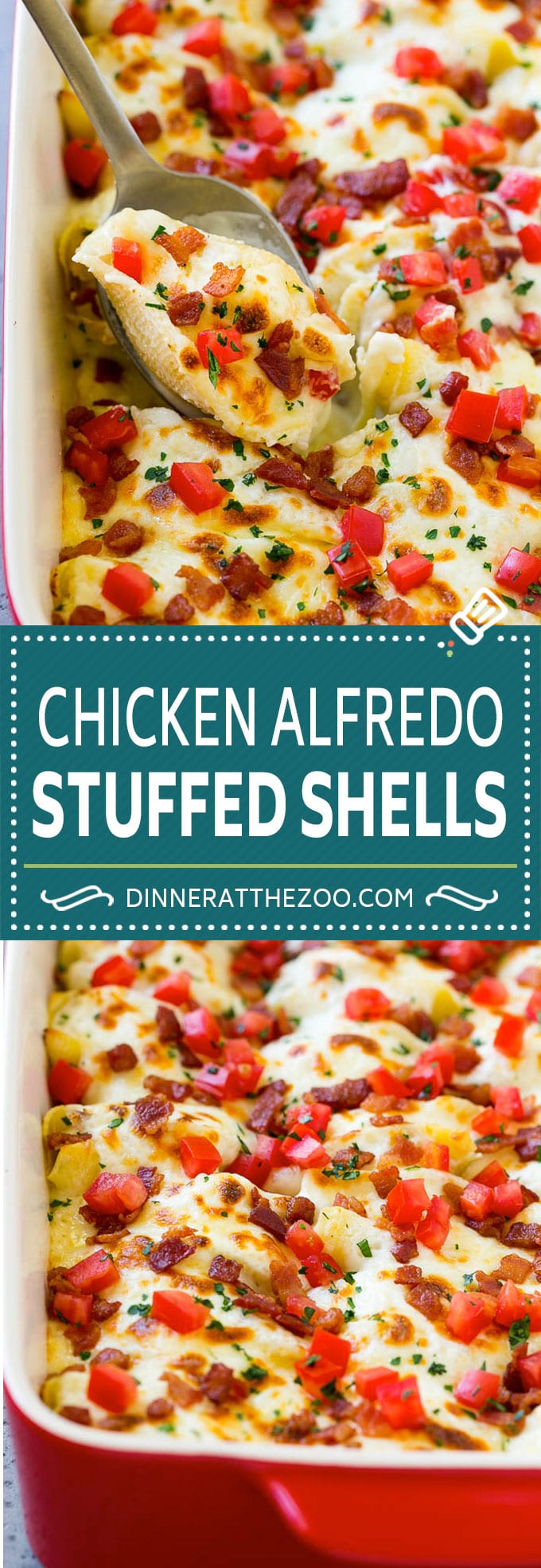Chicken Alfredo Stuffed Shells Recipe | Stuffed Shells | Chicken Stuffed Shells | Baked Pasta #stuffedshells #alfredo #chicken #pasta #cheese #dinner #uzhal