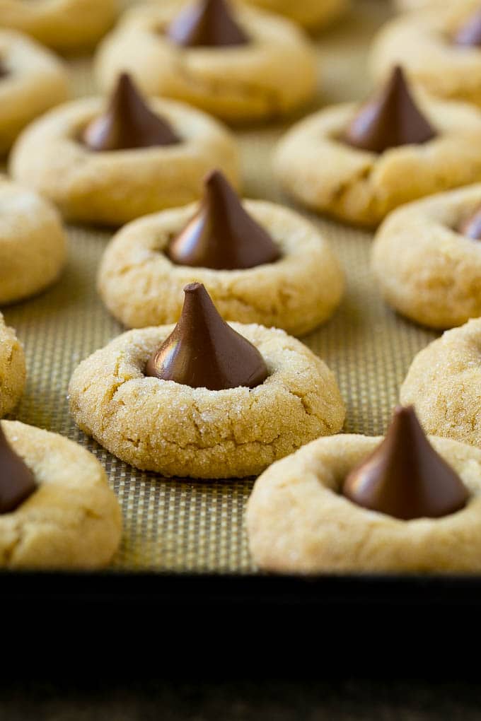 Peanut Butter Blossoms Recipe | Hershey Kiss Cookies | Chocolate Peanut Butter Cookies #cookies #peanutbutter #chocolate #dessert #baking #christmas #christmascookies #uzhal Baked peanut butter blossom cookies on a sheet pan.