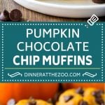 Pumpkin Chocolate Chip Muffins Recipe | Pumpkin Muffins | Chocolate Pumpkin Muffins #muffins #pumpkin #fall #chocolate #dessert #snack #uzhal