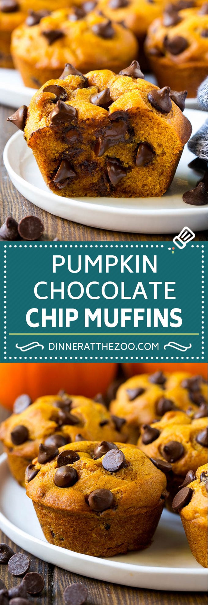 Pumpkin Chocolate Chip Muffins Recipe | Pumpkin Muffins | Chocolate Pumpkin Muffins #muffins #pumpkin #fall #chocolate #dessert #snack #uzhal