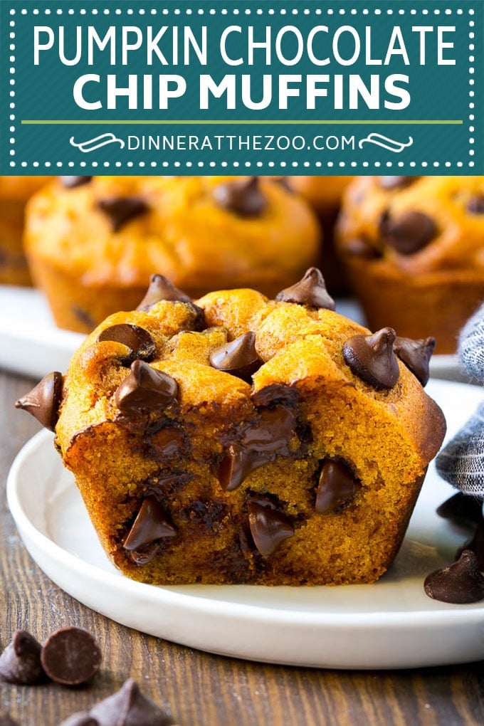 Pumpkin Chocolate Chip Muffins Recipe | Pumpkin Muffins | Chocolate Pumpkin Muffins #muffins #pumpkin #fall #chocolate #dessert #snack #uzhal
