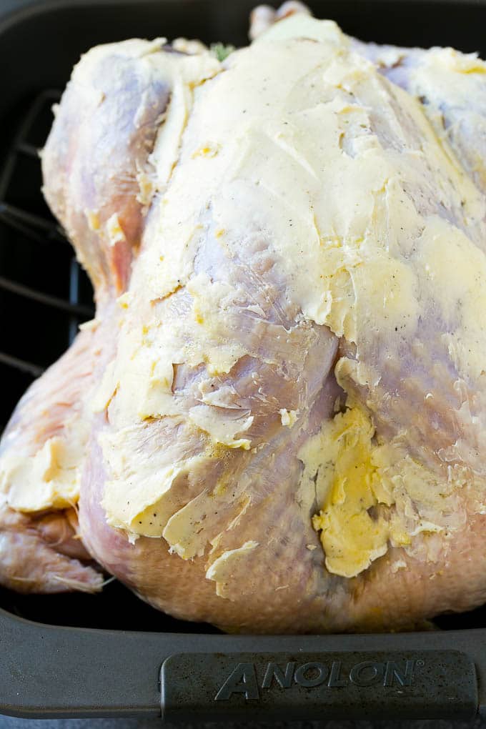 Roast Turkey Recipe | Thanksgiving Turkey | Holiday Turkey | Baked Turkey #turkey #thanksgiving #christmas #dinner #glutenfree #uzhal A whole raw turkey coated in seasoned butter.