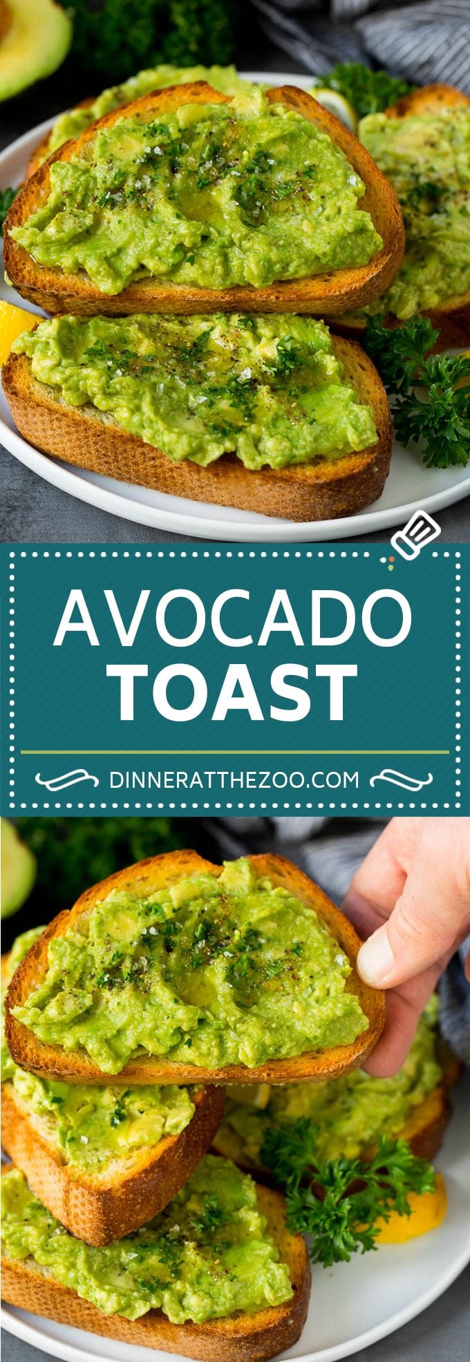 Avocado Toast Recipe #breakfast #avocado #healthy #uzhal
