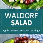 Waldorf Salad Recipe | Apple Salad | Fruit Salad #salad #fruit #apples #grapes #lunch #uzhal #glutenfree