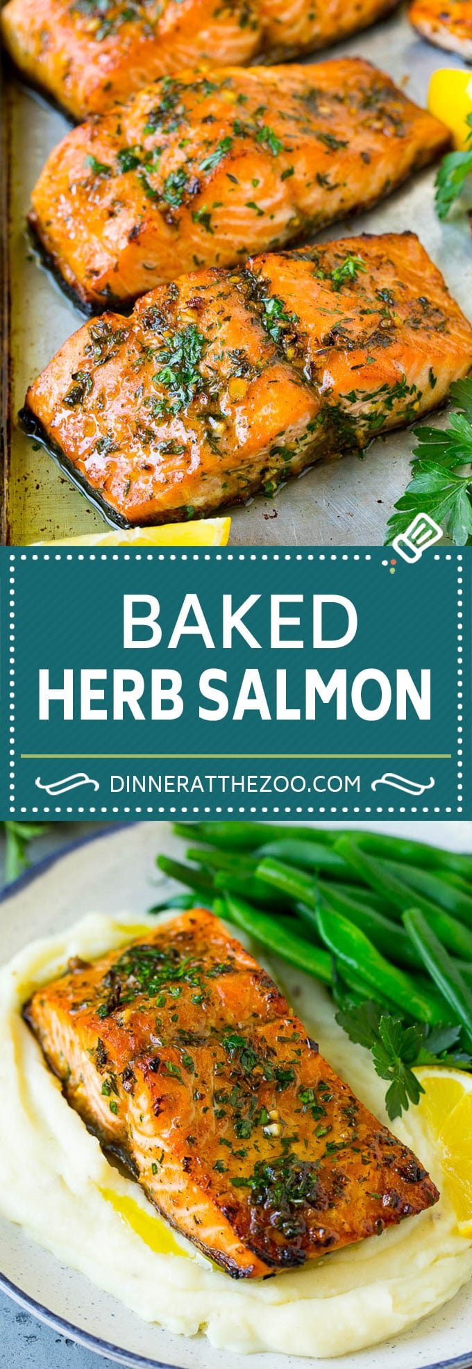Baked Salmon Recipe | Garlic Salmon | Roasted Salmon #salmon #seafood #fish #dinner #uzhal