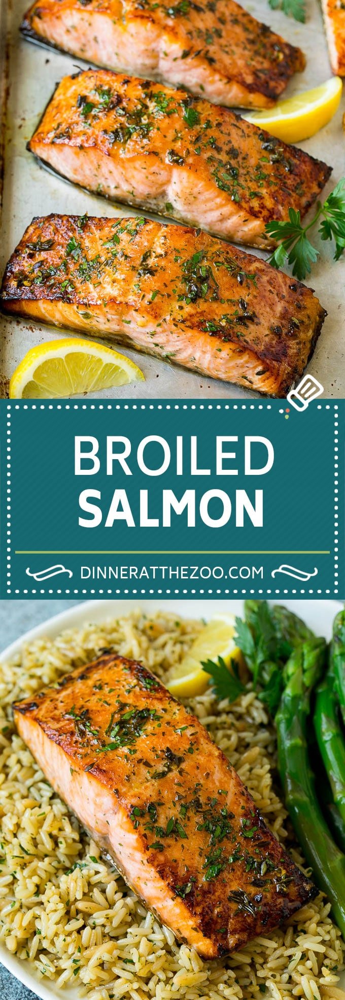 Broiled Salmon Recipe | Healthy Salmon Recipe #salmon #garlic #seafood #dinner #uzhal