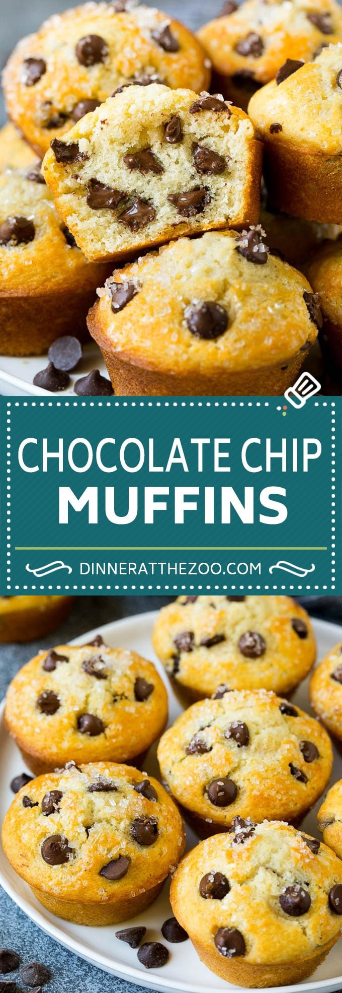 Chocolate Chip Muffins | Easy Muffin Recipe #chocolate #muffins #baking #breakfast #snack #uzhal