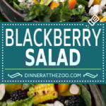 Blackberry Salad Recipe | Summer Salad #salad #blackberries #apricot #corn #dinner #healthy #uzhal