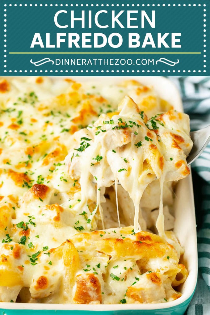 Chicken Alfredo Bake | Baked Pasta #chicken #pasta #cheese #comfortfood #dinner #uzhal