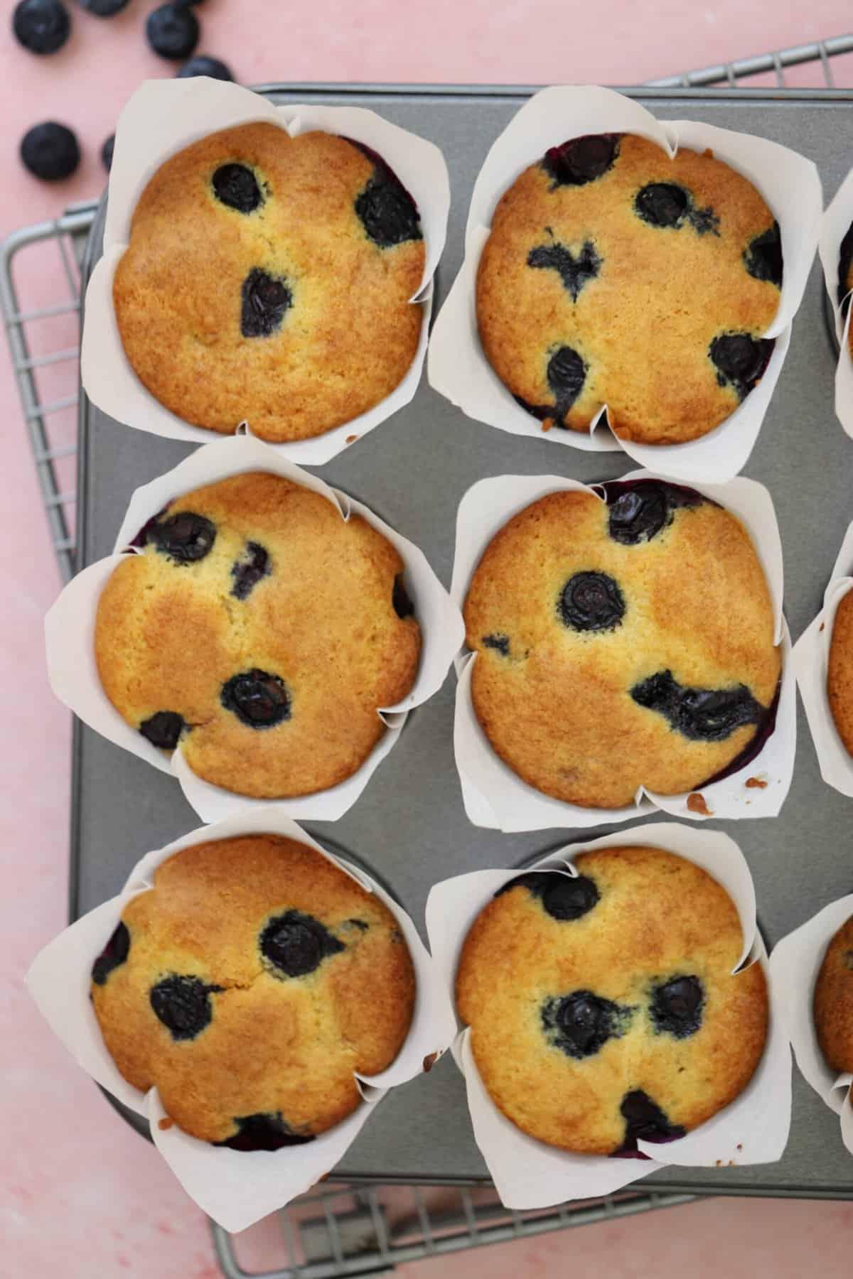 Muffins ai Mirtilli Senza Glutine 2 Un vassoio di muffin ai mirtilli senza glutine.