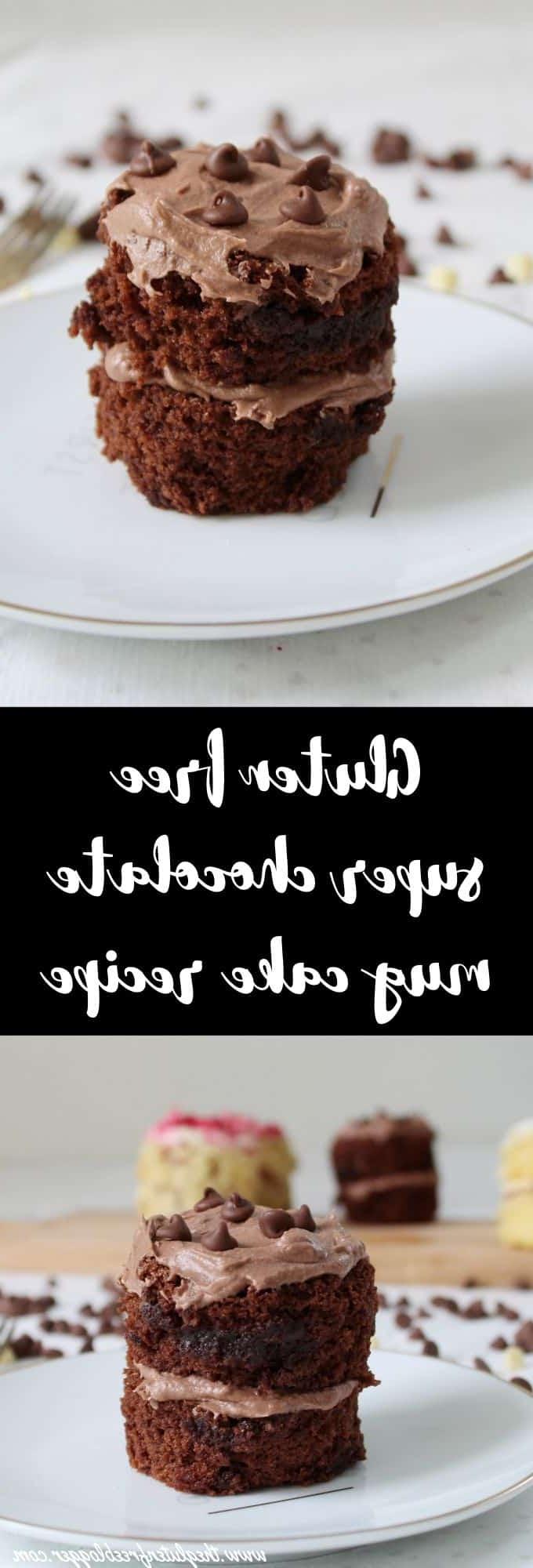 ricette mug cake senza glutine - mug cake facile - ricetta mug cake senza glutine per celiaci senza lattosio torta al cioccolato