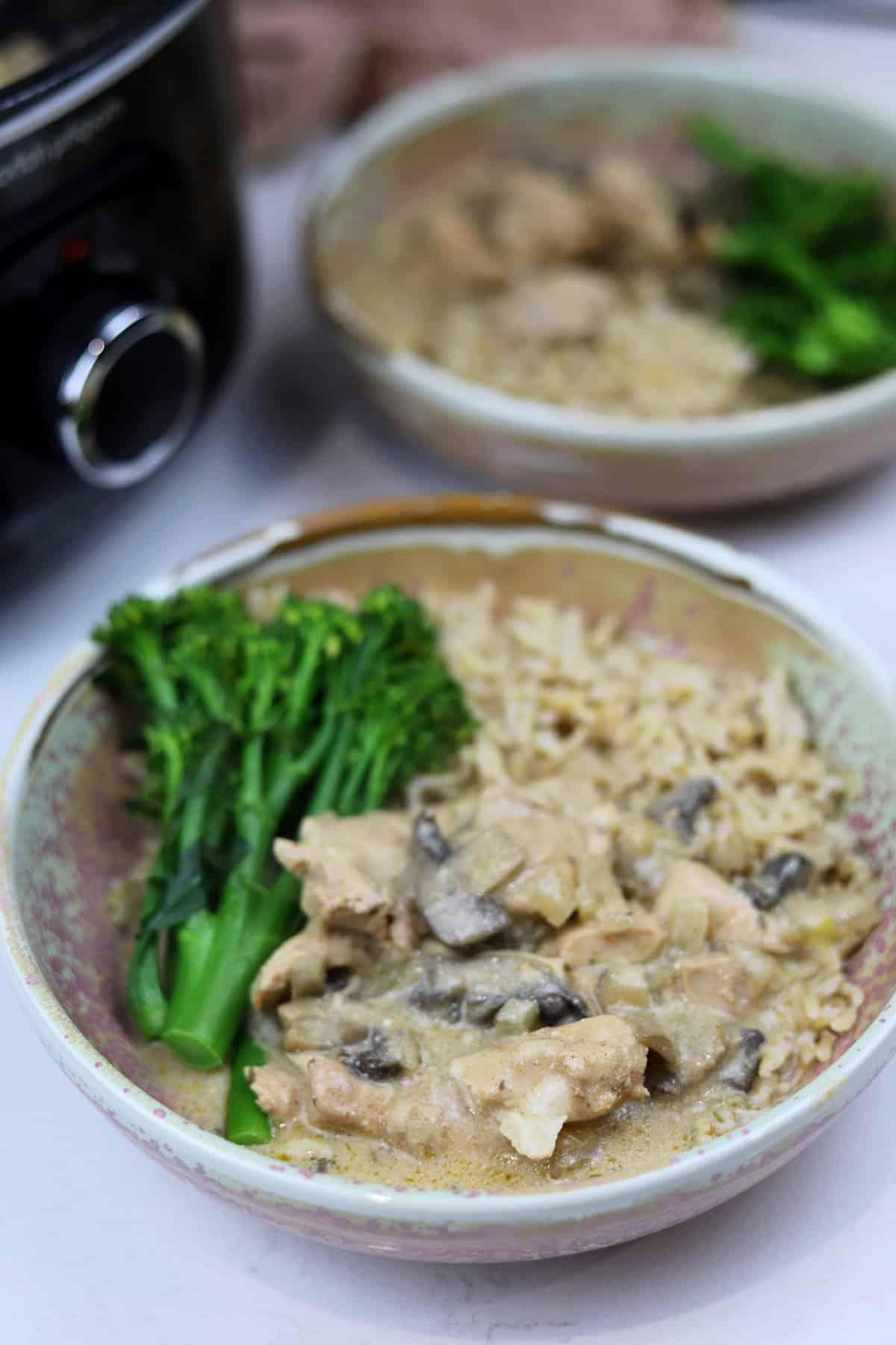 Stroganoff di Pollo in Slow Cooker 6 ricetta stroganoff di pollo nella slow cooker