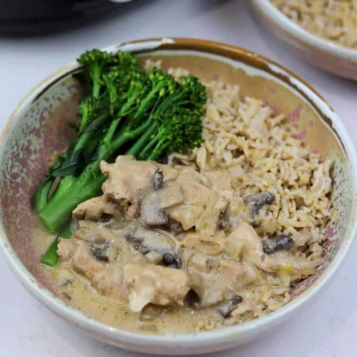 Stroganoff di Pollo in Slow Cooker 7 ricetta stroganoff di pollo nella slow cooker