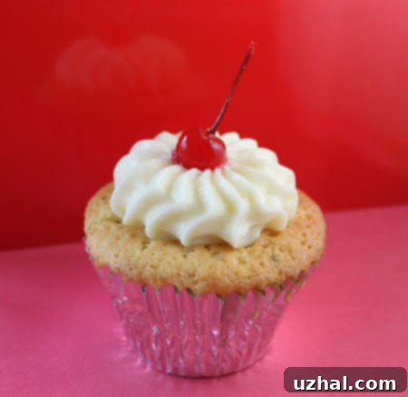 featured 10254