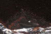 Guilt-Free Condensed Milk Brownies