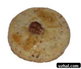 featured 1631