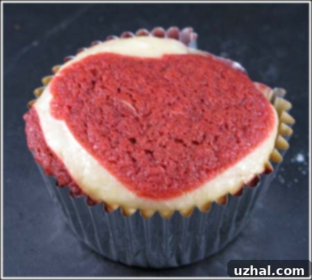 featured 1708