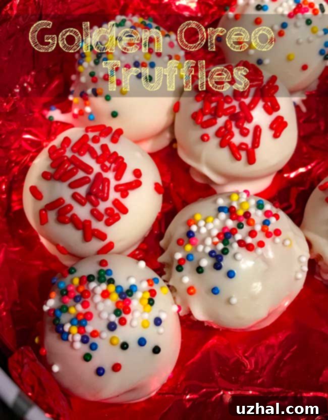featured 1731