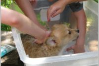 Lizzie Takes Her First Bath