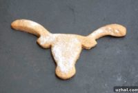 Spiced Cookie Cutouts
