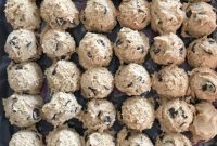 Nutty Brown Butter Chocolate Chip Cookies
