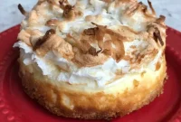 Decadent Coconut-Macaroon Cheesecake