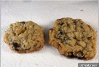Oatmeal Chocolate Chip Cookie Obsession
