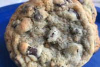 Wholesome Bran Chocolate Chip Cookies