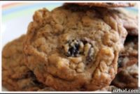 Delicious Fruit and Oat Cookies Kids Love