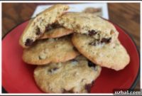 Light Whole Grain Chocolate Chip Bran