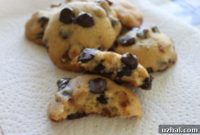 Golden Maple Honey Chocolate Chip Delights