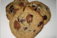 Wholesome Oat Chocolate Chip Delights