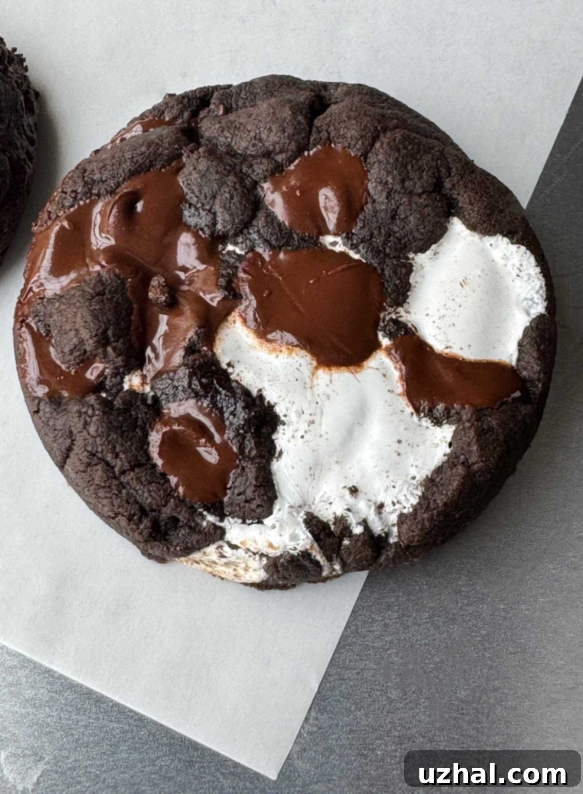 Irresistibly dark and gooey Chocolate Marshmallow Black Cocoa Cookies, showcasing the rich black color and delicious texture.