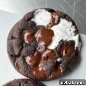 Black Cocoa Chocolate Marshmallow Cookies, a delicious recipe using Modern Mountain black cocoa powder.
