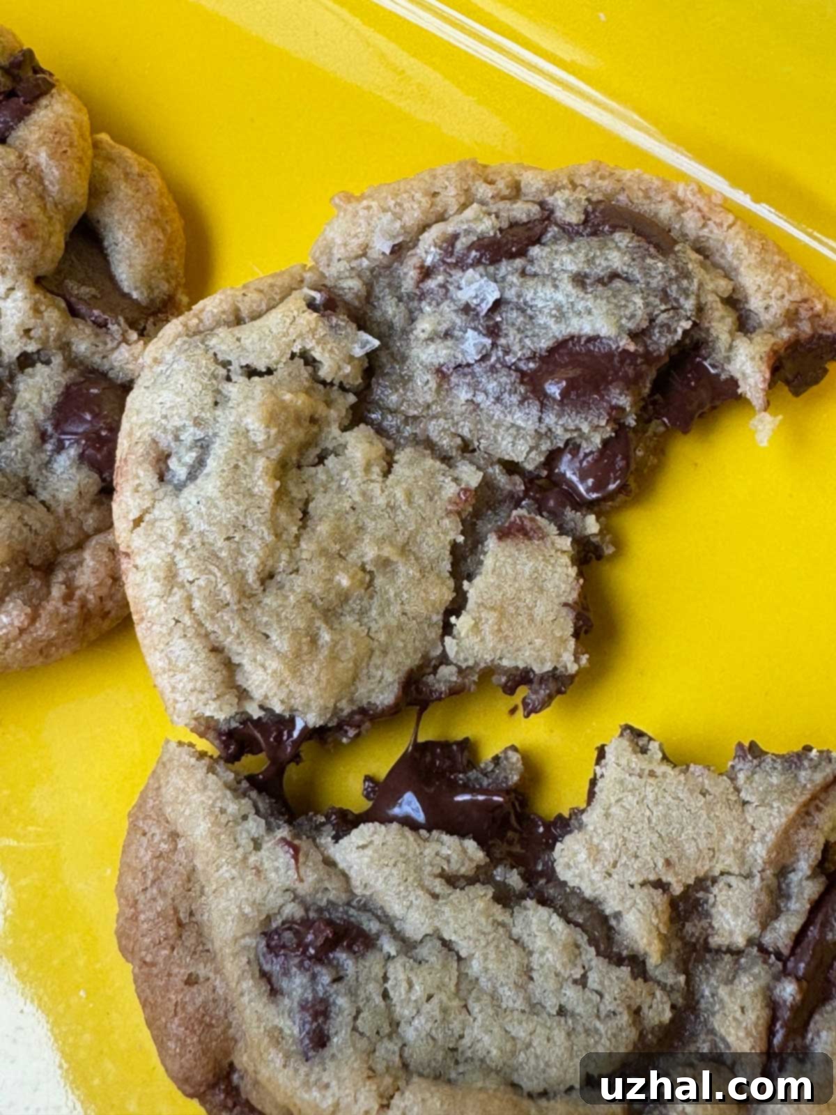 Martha Stewart Fired Me Chocolate Chip Cookie recipe by Sarah Gormley, author of The Order of Things. Golden brown, crinkly-edged cookies with visible chocolate chunks.