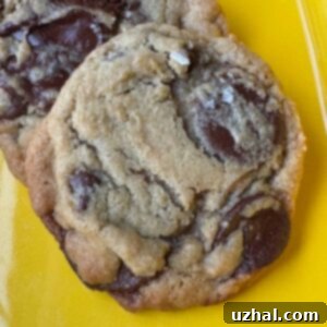 Martha Stewart Fired Me Chocolate Chip Cookie recipe by Sarah Gormley, author of The Order of Things.