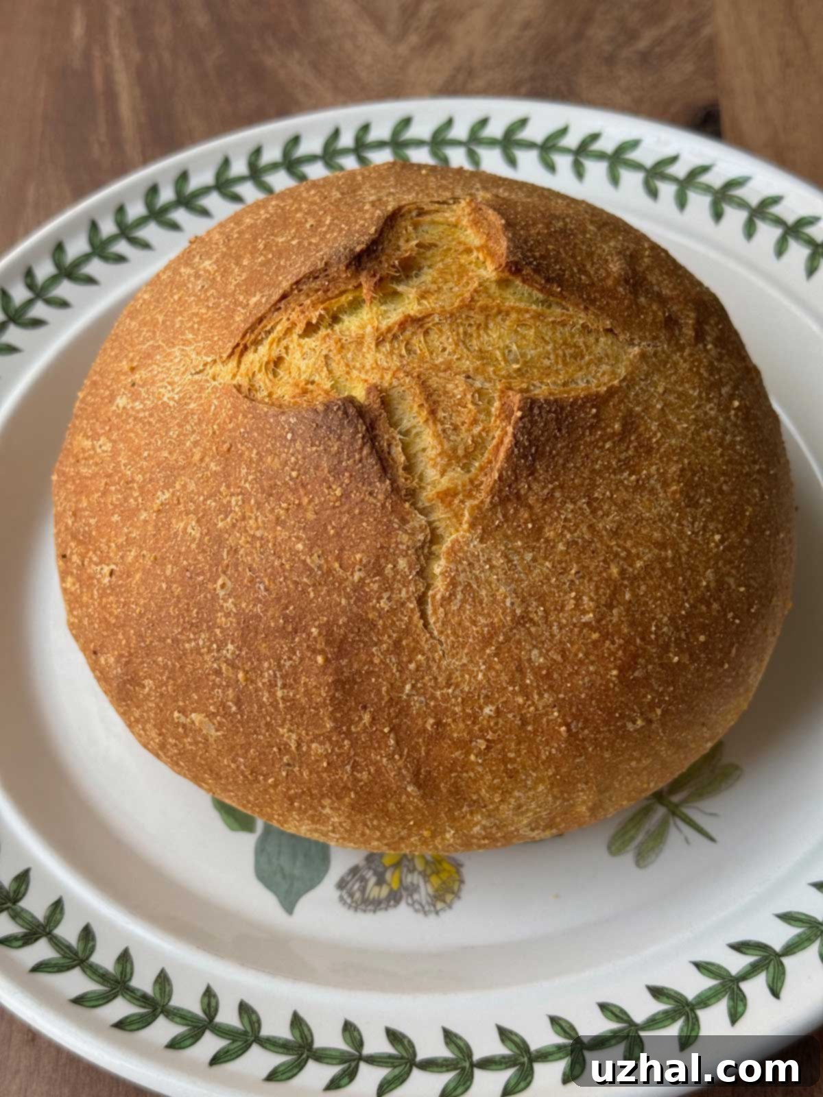 A golden-brown whole loaf of French-style yeasted cornbread, baked in a Dutch oven.
