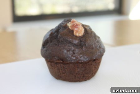 Spiced Cocoa Muffin Chocolate Muffin