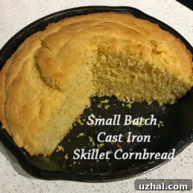 Small batch cast iron skillet cornbread in a cast iron skillet