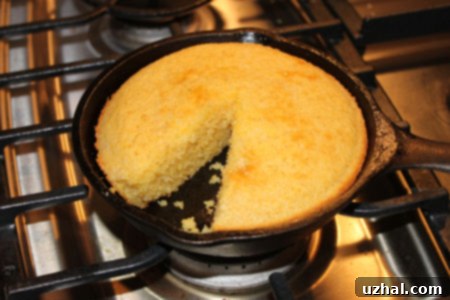 Small Batch Cast Iron Skillet Cornbread