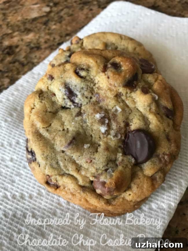 Flour Bakery Chocolate Chip Cookies with a perfect golden-brown hue