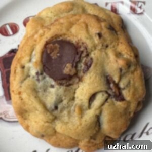 Flour Bakery Chocolate Chip Cookie Recipe