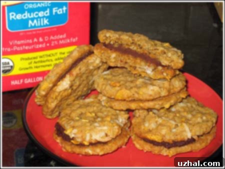 double crunch sandwich cookies with creamy chocolate filling