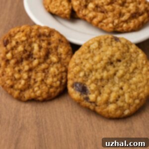 Slice and Bake Crunchy Oatmeal Cookies recipe