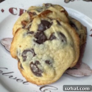 Butter Powder Chocolate Chip Cookies recipe