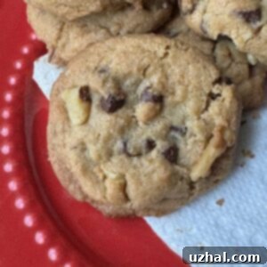 Heavenly Brown Butter Oatmeal Chocolate Chip 7 Brown Butter Oatmeal Chocolate Chip Cookies recipe on Cookie Madness