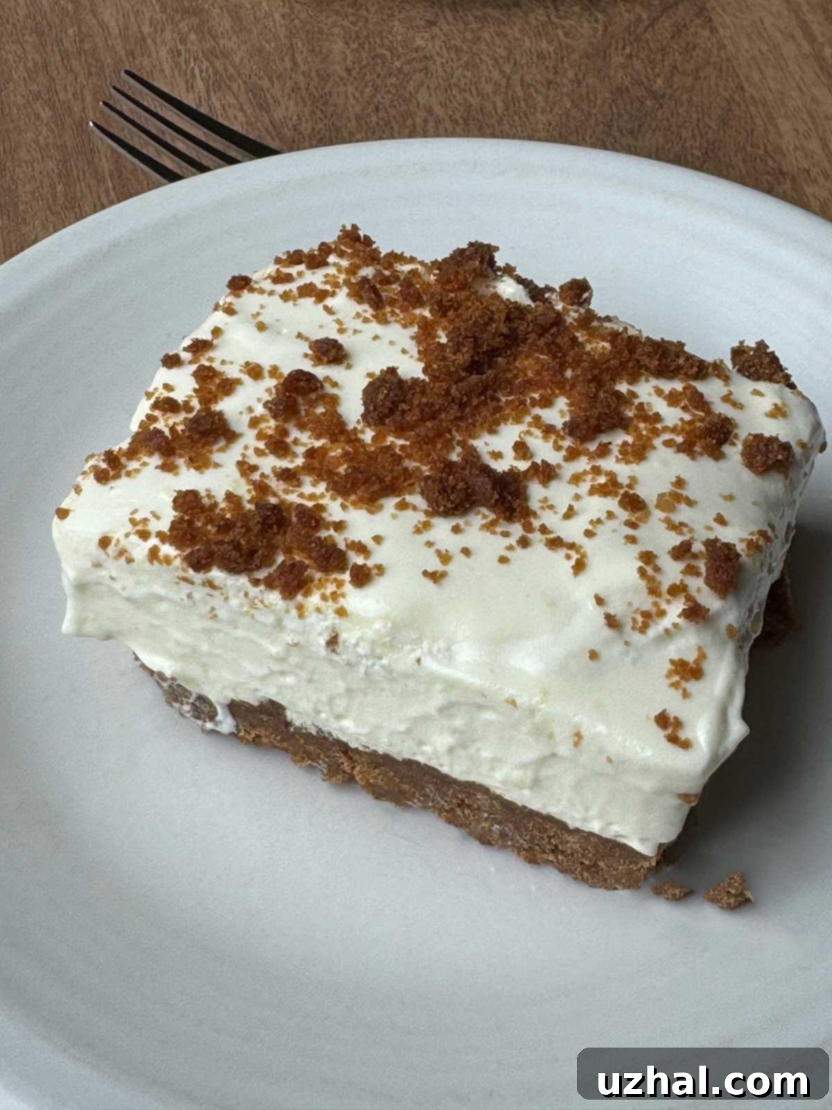 Mary's Woolworth's Cheesecake dessert recipe with a gingersnap crumb crust.
